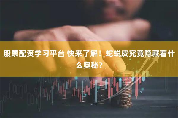 股票配资学习平台 快来了解！蛇蜕皮究竟隐藏着什么奥秘？